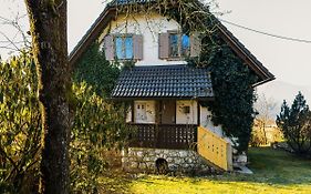 Magical Family Home 84
